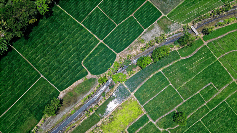 Pengembangan Lahan & Pembangunan Sawah
